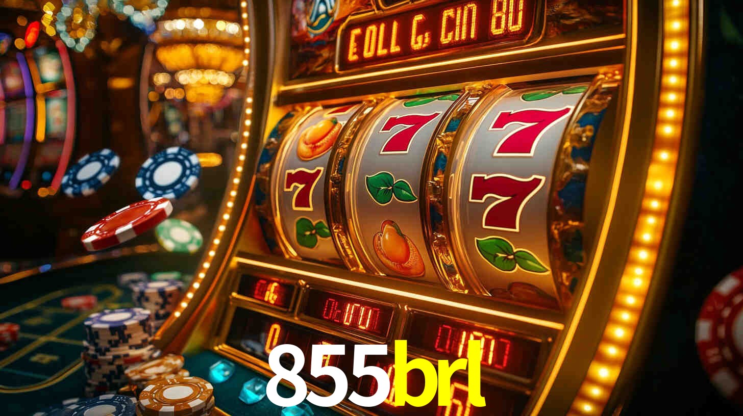 Programa VIP 855brl